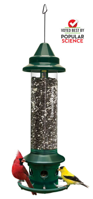 Bird Feeders