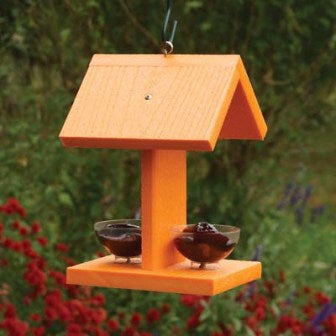 Going Green Oriole Jelly Feeder