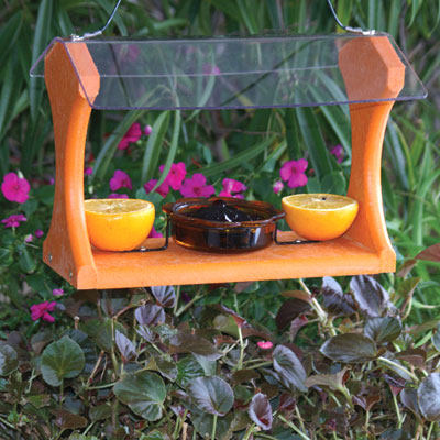 Going Green Recycled Plastic Oriole Jelly Feeder